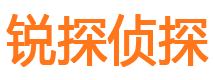 临城外遇出轨调查取证